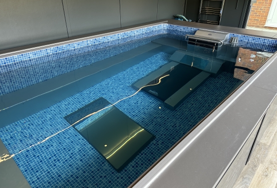 Elites Swimming, 2016