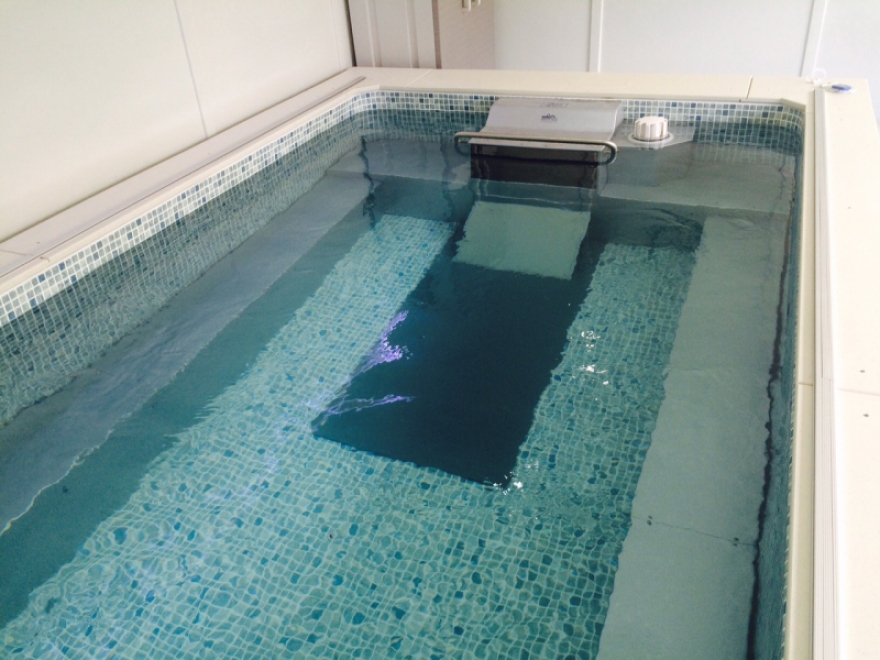 This Endless pool room has been part submerged in ground to maximise on interior height