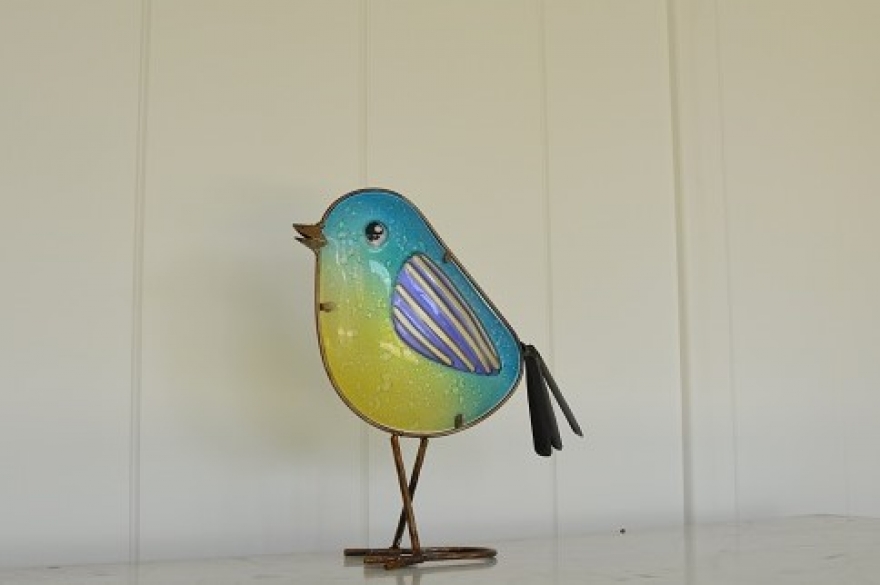 This sweet little bird looks right at home in this beautiful room