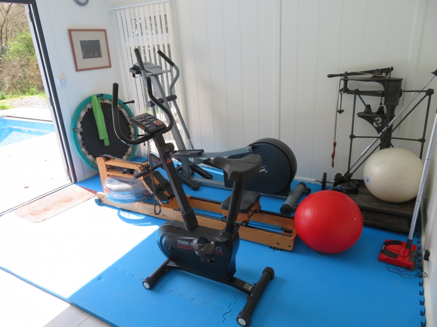 Compact Garden Gym Combination Pool Side Room Installed in Petworth