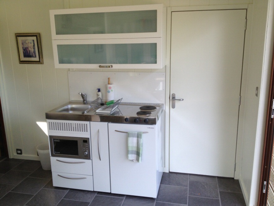 Kitchenette with integrated fridge and microwave